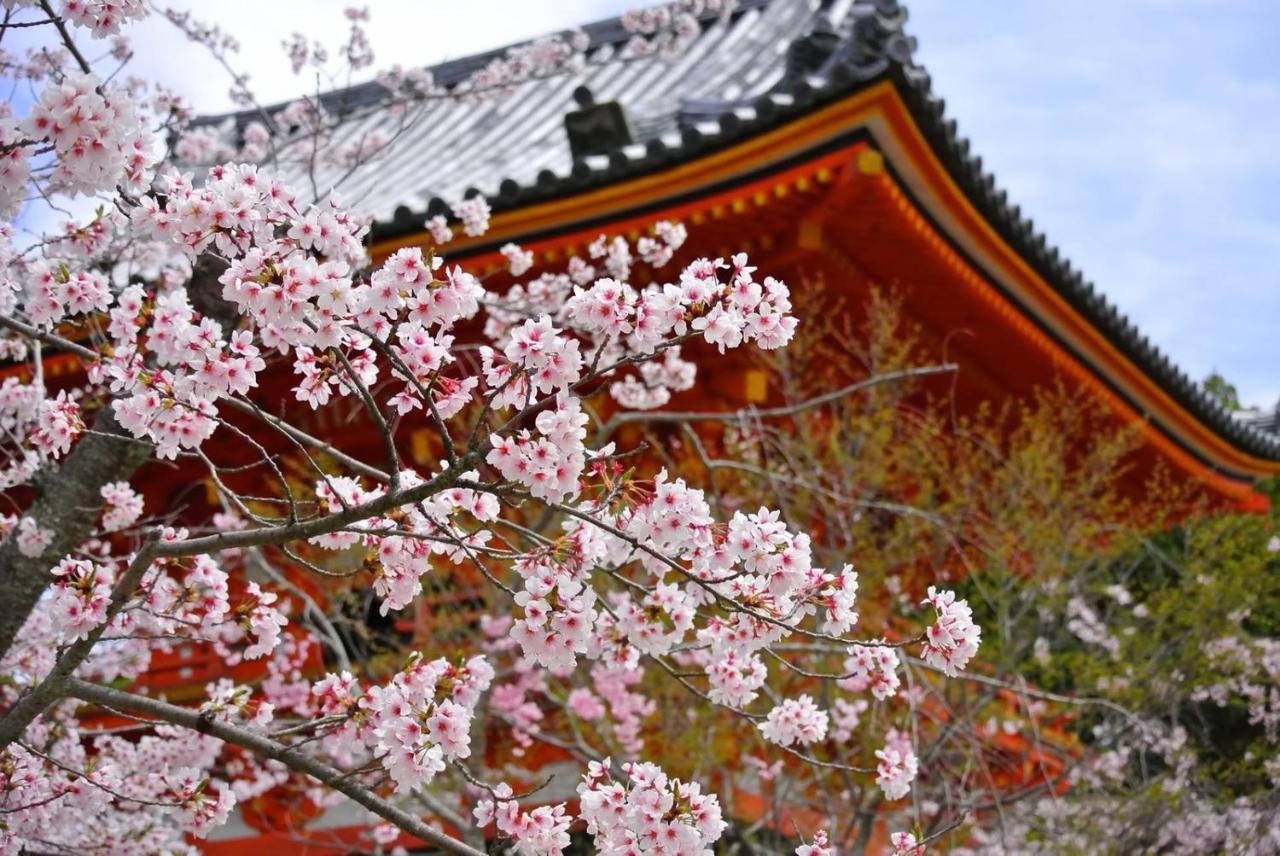 Stay SAKURA 京都 丹波口 外观 照片